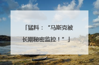 猛料：“马斯克被长期秘密监控！”