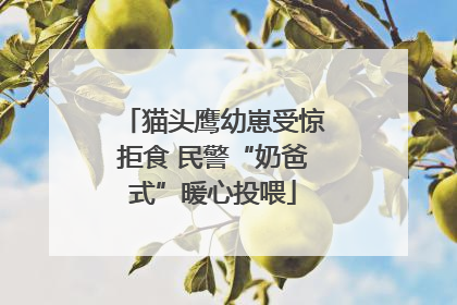 猫头鹰幼崽受惊拒食 民警“奶爸式”暖心投喂