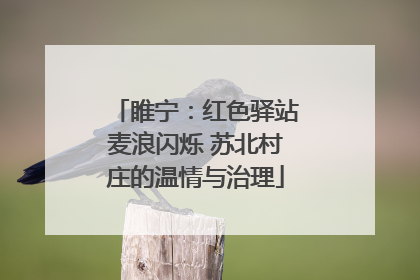 睢宁：红色驿站麦浪闪烁 苏北村庄的温情与治理