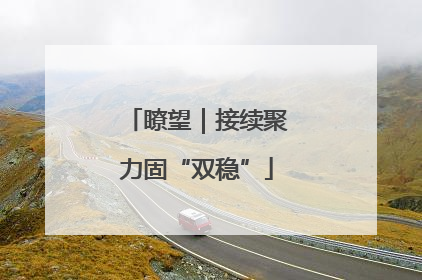 瞭望｜接续聚力固“双稳”