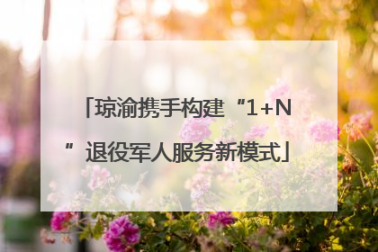 琼渝携手构建“1+N”退役军人服务新模式
