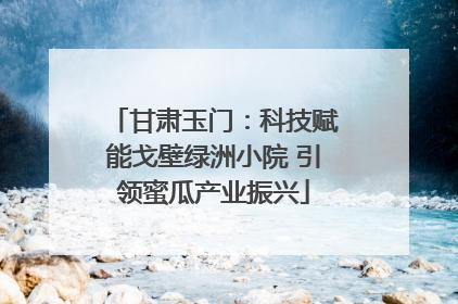 甘肃玉门：科技赋能戈壁绿洲小院 引领蜜瓜产业振兴