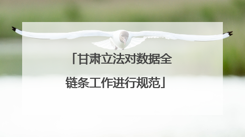 甘肃立法对数据全链条工作进行规范