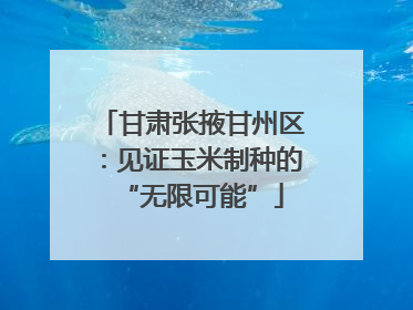 甘肃张掖甘州区：见证玉米制种的“无限可能”