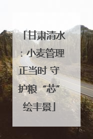 甘肃清水：小麦管理正当时 守护粮“芯”绘丰景