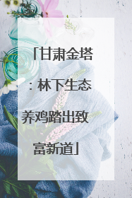 甘肃金塔：林下生态养鸡踏出致富新道