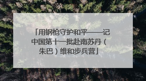用钢枪守护和平——记中国第十一批赴南苏丹（朱巴）维和步兵营