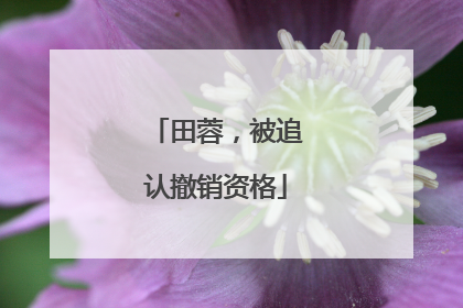田蓉，被追认撤销资格