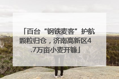 百台“钢铁麦客”护航颗粒归仓，济南高新区4.7万亩小麦开镰