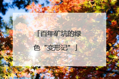 百年矿坑的绿色“变形记”