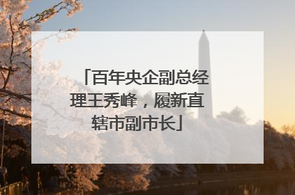 百年央企副总经理王秀峰，履新直辖市副市长