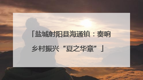 盐城射阳县海通镇：奏响乡村振兴“夏之华章”