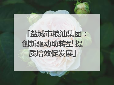 盐城市粮油集团：创新驱动助转型 提质增效促发展
