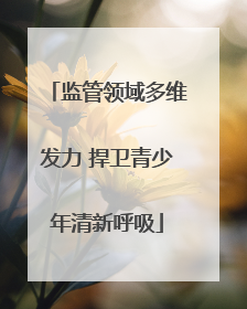 监管领域多维发力 捍卫青少年清新呼吸