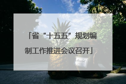 省“十五五”规划编制工作推进会议召开