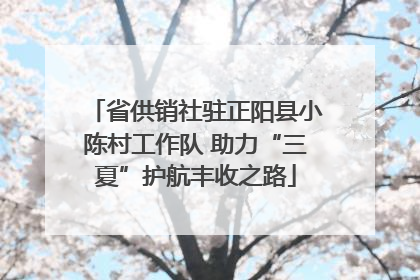 省供销社驻正阳县小陈村工作队 助力“三夏”护航丰收之路