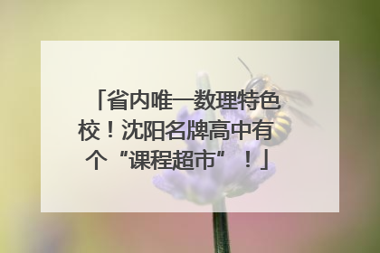 省内唯一数理特色校！沈阳名牌高中有个“课程超市”！