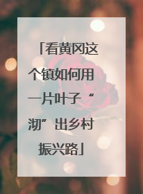 看黄冈这个镇如何用一片叶子“沏”出乡村振兴路