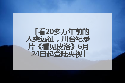 看20多万年前的人类远征，川台纪录片《看见皮洛》6月24日起登陆央视