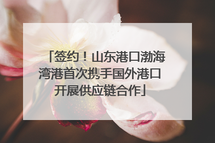 签约！山东港口渤海湾港首次携手国外港口开展供应链合作