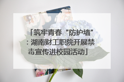 筑牢青春“防护墙”：湖南财工职院开展禁毒宣传进校园活动