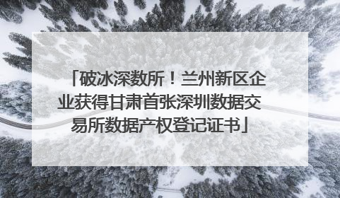 破冰深数所！兰州新区企业获得甘肃首张深圳数据交易所数据产权登记证书