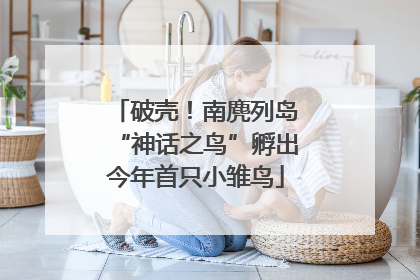 破壳！南麂列岛“神话之鸟”孵出今年首只小雏鸟