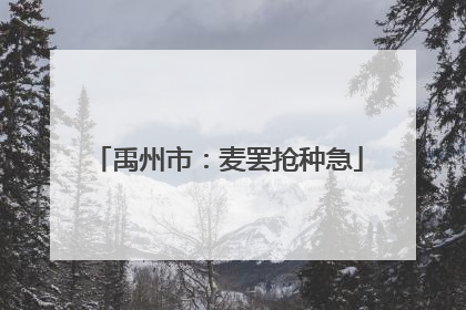 禹州市：麦罢抢种急
