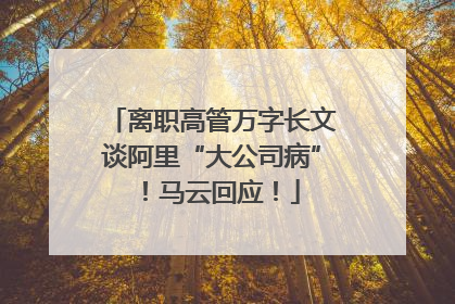离职高管万字长文谈阿里“大公司病”！马云回应！