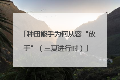 种田能手为何从容“放手”（三夏进行时）
