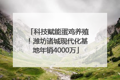 科技赋能蛋鸡养殖！潍坊诸城现代化基地年销4000万