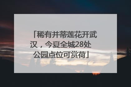 稀有并蒂莲花开武汉，今夏全城28处公园点位可赏荷