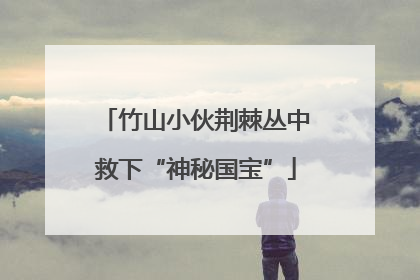 竹山小伙荆棘丛中救下“神秘国宝”
