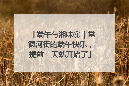端午有湘味⑨｜常德河街的端午快乐，提前一天就开始了