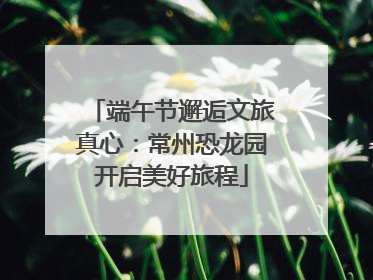 端午节邂逅文旅真心：常州恐龙园开启美好旅程