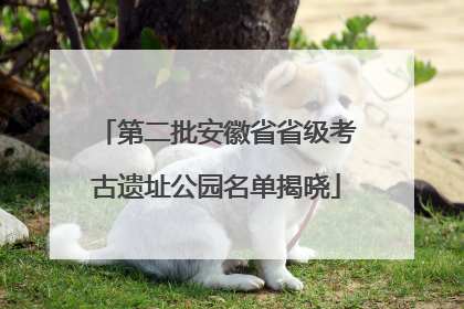 第二批安徽省省级考古遗址公园名单揭晓
