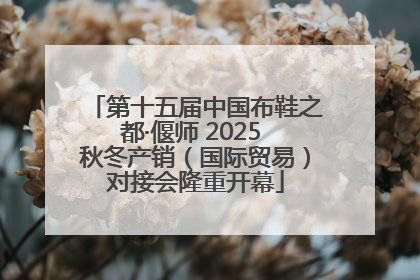 第十五届中国布鞋之都·偃师 2025 秋冬产销（国际贸易）对接会隆重开幕