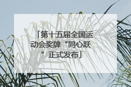第十五届全国运动会奖牌“同心跃”正式发布