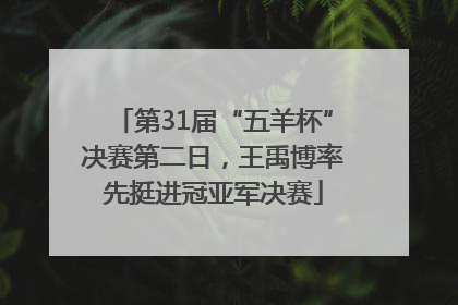 第31届“五羊杯”决赛第二日，王禹博率先挺进冠亚军决赛