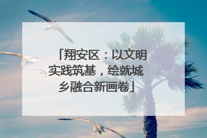 翔安区：以文明实践筑基，绘就城乡融合新画卷