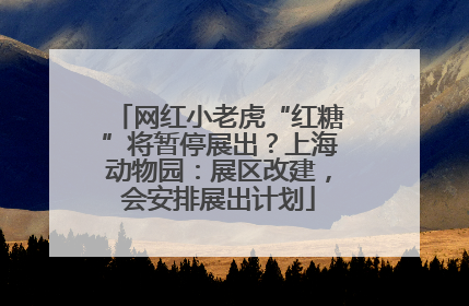 网红小老虎“红糖”将暂停展出？上海动物园：展区改建，会安排展出计划