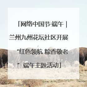网络中国节·端午｜兰州九州花坛社区开展“红色领航 粽香敬老”端午主题活动