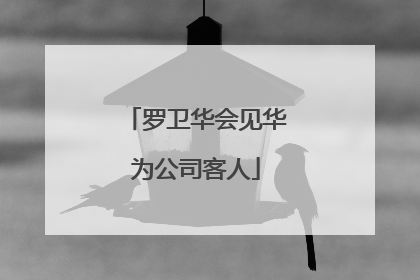罗卫华会见华为公司客人