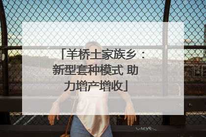 羊桥土家族乡：新型套种模式 助力增产增收