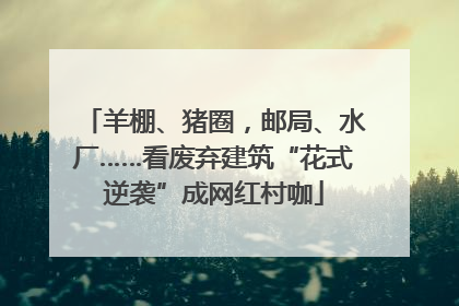羊棚、猪圈，邮局、水厂……看废弃建筑“花式逆袭”成网红村咖