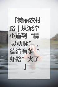 美丽农村路｜从泥泞小道到“精灵动脉”，德清有条“虾路”火了