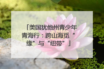 美国犹他州青少年青海行：跨山海觅“缘”与“纽带”