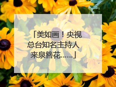 美如画！央视总台知名主持人来泉簪花……