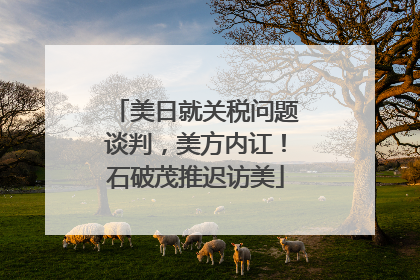 美日就关税问题谈判，美方内讧！石破茂推迟访美