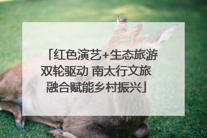 红色演艺+生态旅游双轮驱动 南太行文旅融合赋能乡村振兴